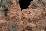 Natural, Native Copper Formation - Michigan #64764-1